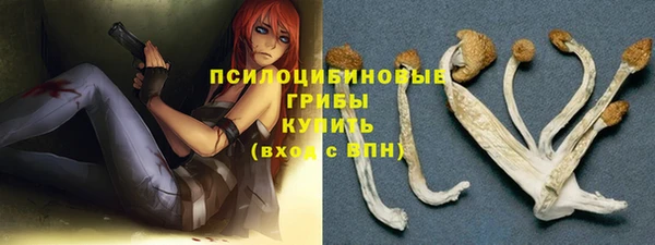 стафф Магас
